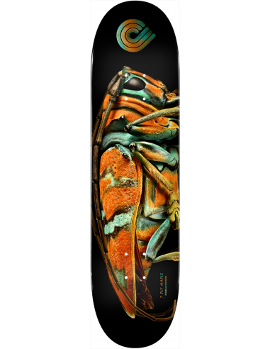 PLATEAU de SKATE POWELL PERALTA PS BISS JEWEL BEETLE 9.05 X 32.95 online