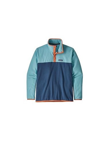 Pull Homme Patagonia Micro D Snap-T P/O de l' environnement